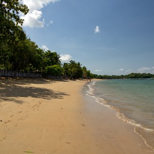 1as